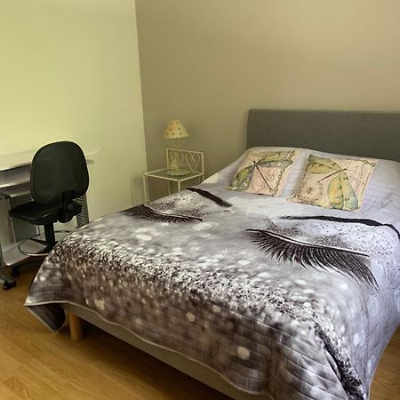Appartement Le Domaine Des Libellules Proche Walibi Corbelin エクステリア 写真