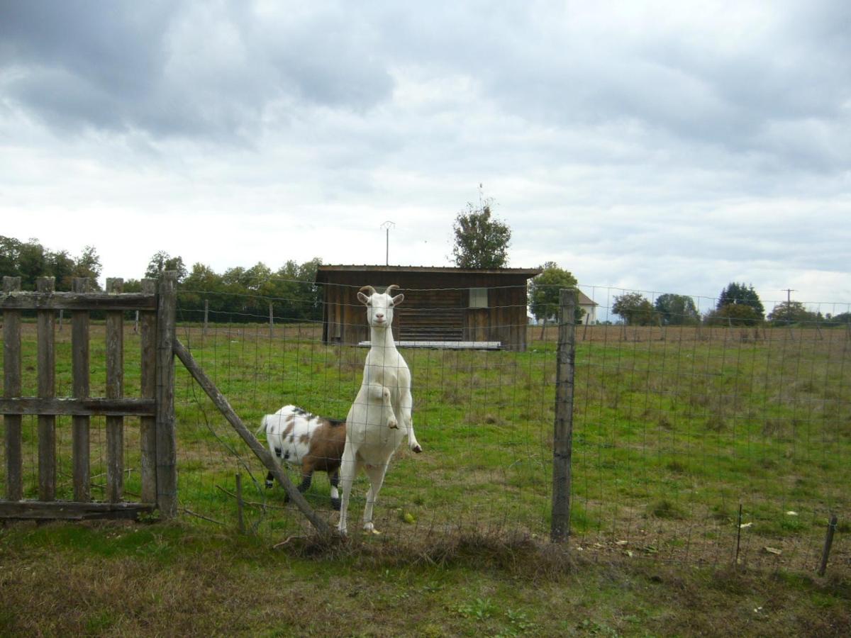 Appartement Le Domaine Des Libellules Proche Walibi Corbelin エクステリア 写真