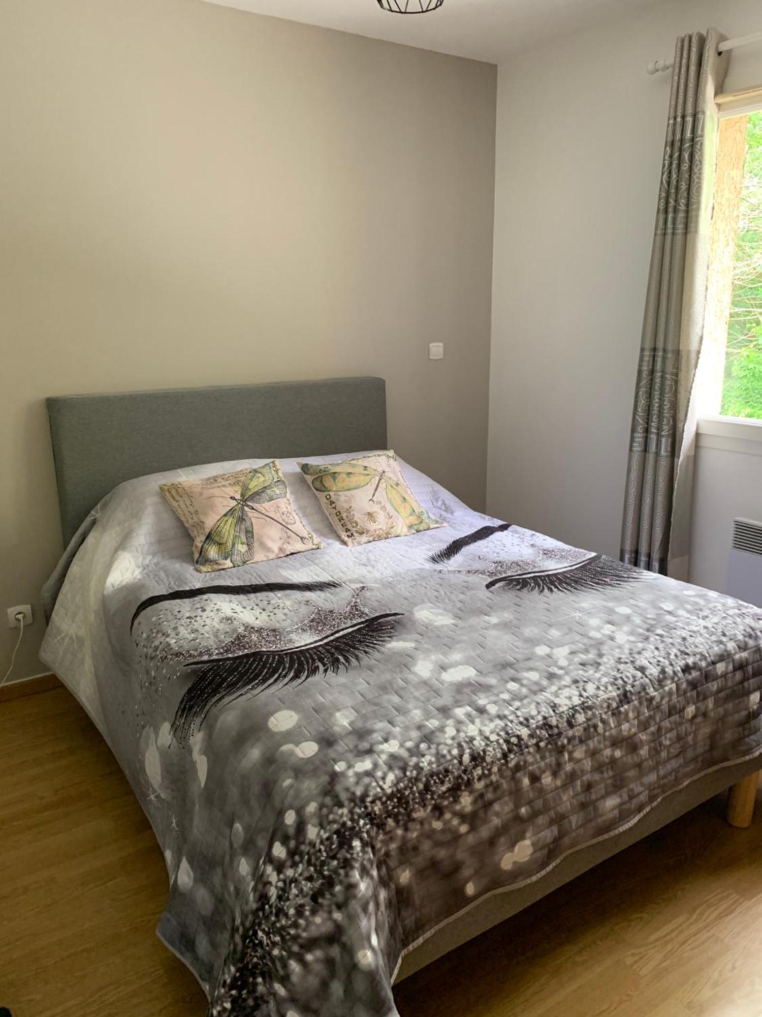 Appartement Le Domaine Des Libellules Proche Walibi Corbelin エクステリア 写真